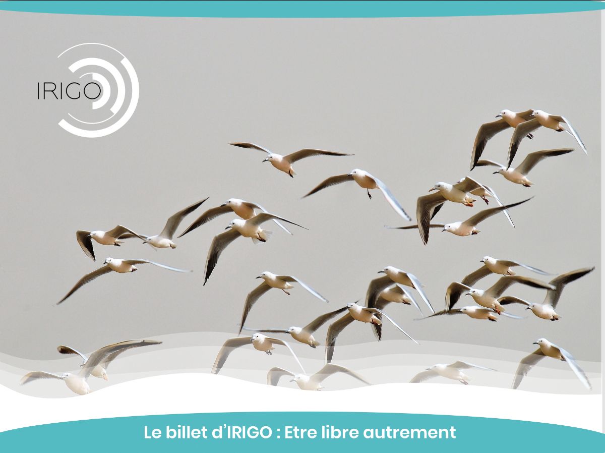 libre-autrement